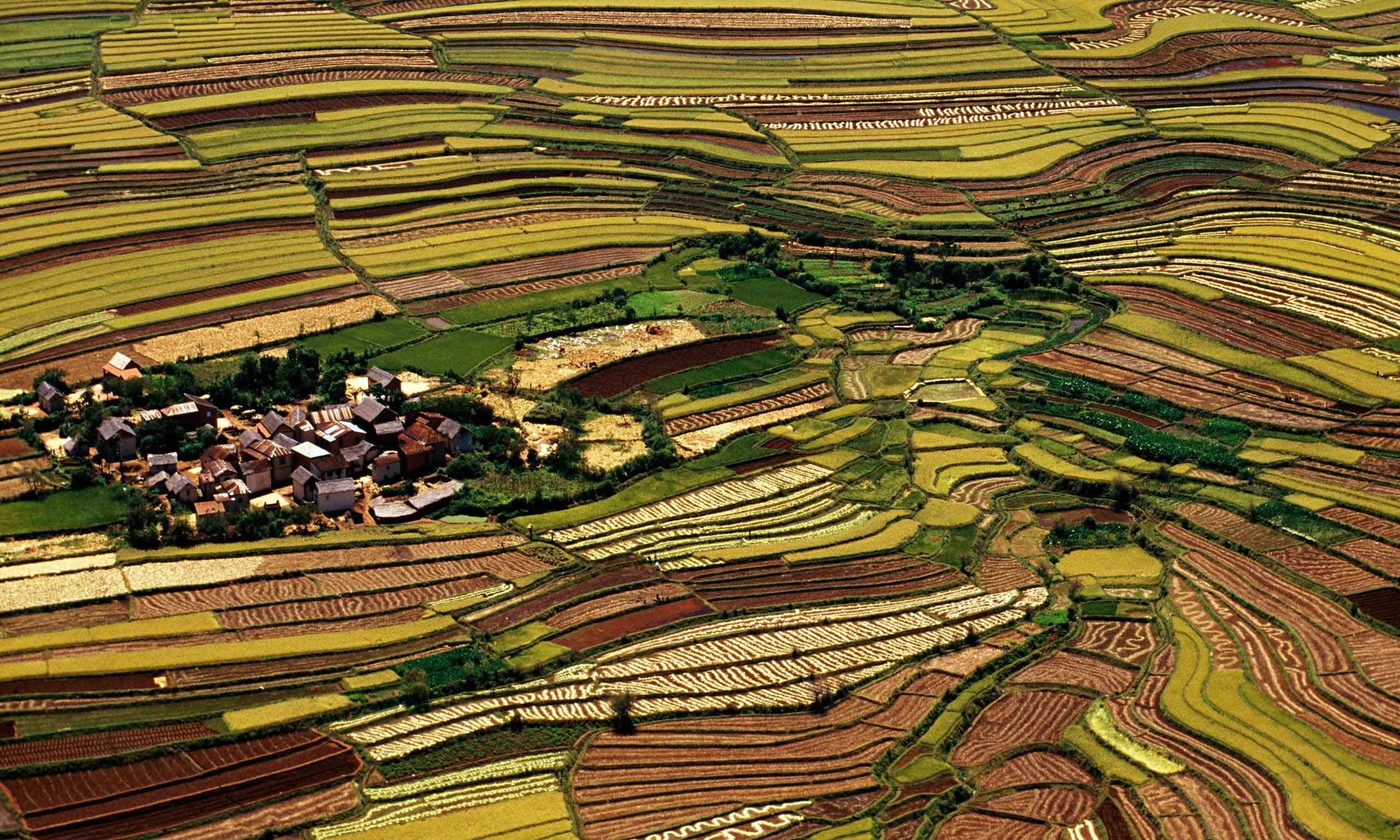 Aerial view of fields