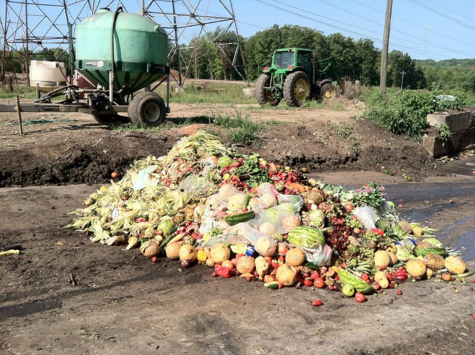 Pile of food waste