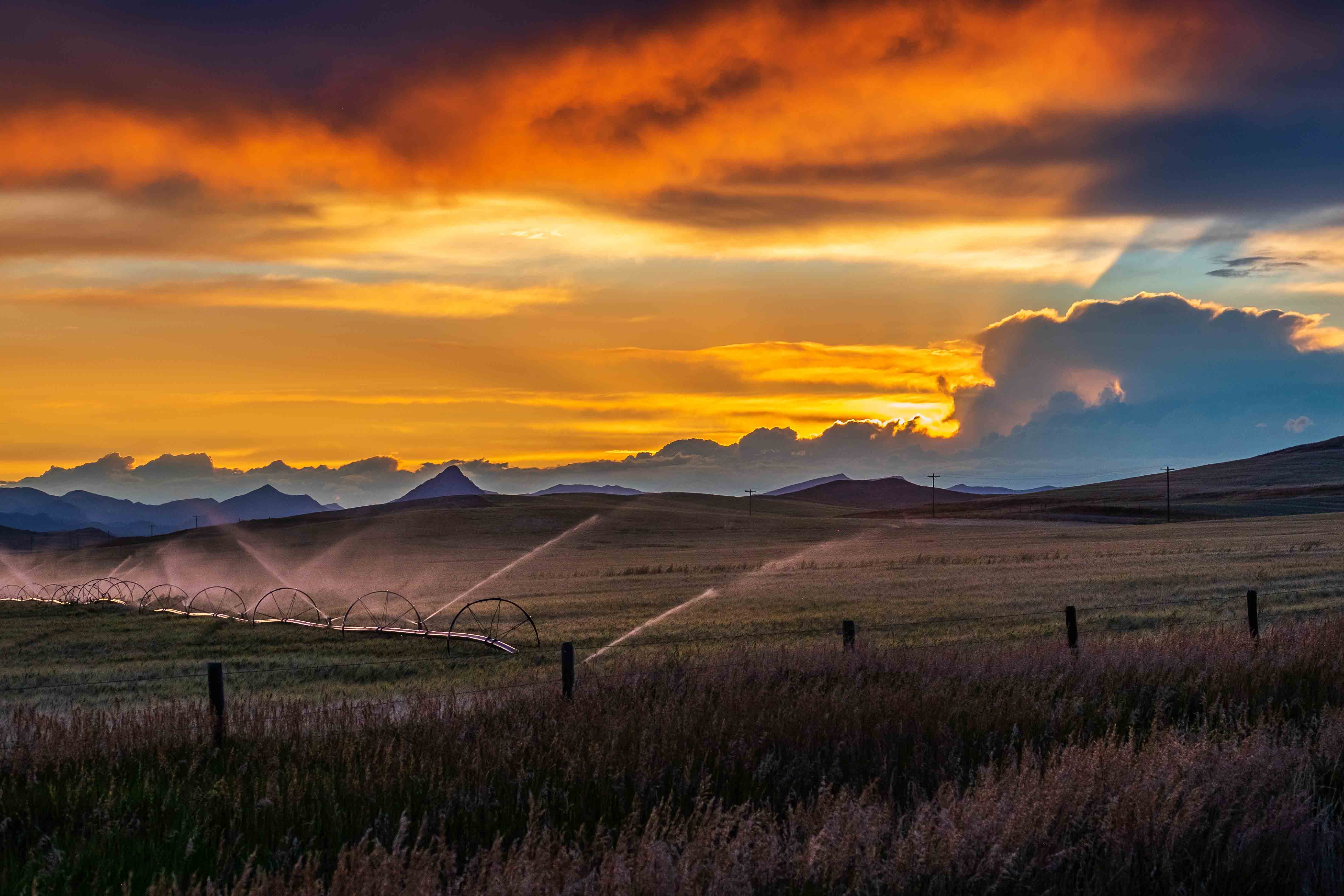 Irrigating at sunset