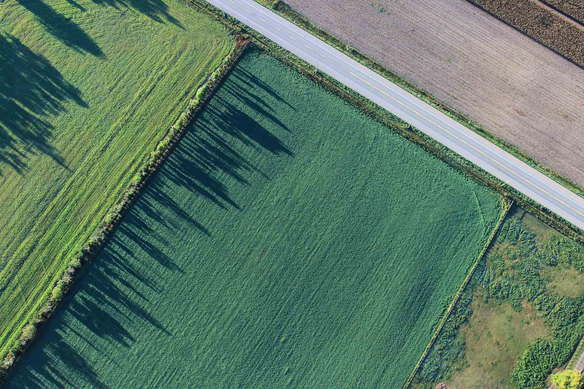 Aerial photo of fields